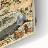 Vintage Animal Art: Retro Mammal Illustration Wall Print