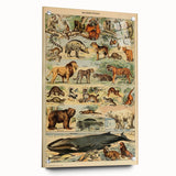 Vintage Animal Art: Retro Mammal Illustration Wall Print