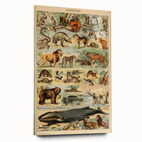 Vintage Animal Art: Retro Mammal Illustration Wall Print