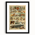 Vintage Animal Art: Retro Mammal Illustration Wall Print