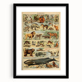 Vintage Animal Art: Retro Mammal Illustration Wall Print