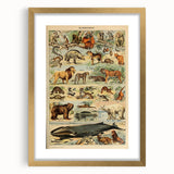 Vintage Animal Art: Retro Mammal Illustration Wall Print