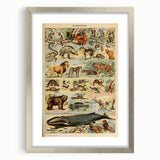 Vintage Animal Art: Retro Mammal Illustration Wall Print