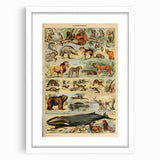 Vintage Animal Art: Retro Mammal Illustration Wall Print