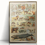 Vintage Animal Art: Retro Mammal Illustration Wall Print
