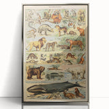 Vintage Animal Art: Retro Mammal Illustration Wall Print