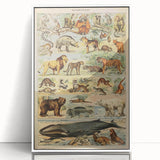 Vintage Animal Art: Retro Mammal Illustration Wall Print