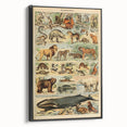 Vintage Animal Art: Retro Mammal Illustration Wall Print