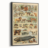 Vintage Animal Art: Retro Mammal Illustration Wall Print