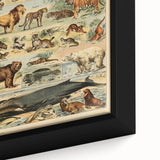 Vintage Animal Art: Retro Mammal Illustration Wall Print