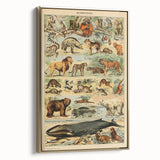 Vintage Animal Art: Retro Mammal Illustration Wall Print