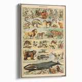 Vintage Animal Art: Retro Mammal Illustration Wall Print