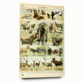 Vintage Animal Art: Retro Wildlife Mammal Illustration Print