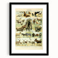 Vintage Animal Art: Retro Wildlife Mammal Illustration Print