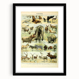 Vintage Animal Art: Retro Wildlife Mammal Illustration Print