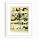 Vintage Animal Art: Retro Wildlife Mammal Illustration Print