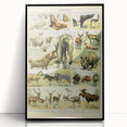 Vintage Animal Art: Retro Wildlife Mammal Illustration Print