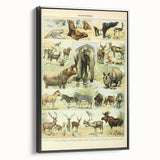 Vintage Animal Art: Retro Wildlife Mammal Illustration Print
