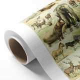 Vintage Animal Art: Retro Wildlife Mammal Illustration Print