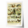 Vintage Animal Art: Retro Wildlife Mammal Illustration Print