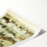Vintage Animal Art: Retro Wildlife Mammal Illustration Print