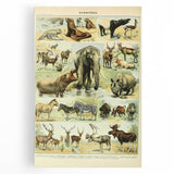 Vintage Animal Art: Retro Wildlife Mammal Illustration Print