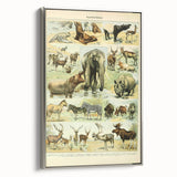 Vintage Animal Art: Retro Wildlife Mammal Illustration Print