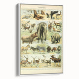 Vintage Animal Art: Retro Wildlife Mammal Illustration Print