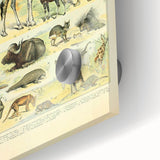 Vintage Animal Art: Retro Giraffe & Wildlife Illustration Print