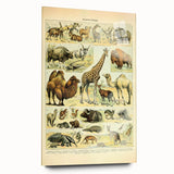 Vintage Animal Art: Retro Giraffe & Wildlife Illustration Print