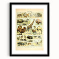 Vintage Animal Art: Retro Giraffe & Wildlife Illustration Print
