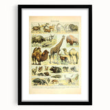 Vintage Animal Art: Retro Giraffe & Wildlife Illustration Print