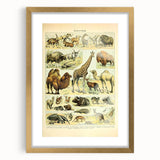 Vintage Animal Art: Retro Giraffe & Wildlife Illustration Print