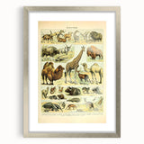 Vintage Animal Art: Retro Giraffe & Wildlife Illustration Print