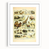 Vintage Animal Art: Retro Giraffe & Wildlife Illustration Print