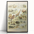 Vintage Animal Art: Retro Giraffe & Wildlife Illustration Print