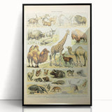 Vintage Animal Art: Retro Giraffe & Wildlife Illustration Print