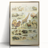 Vintage Animal Art: Retro Giraffe & Wildlife Illustration Print
