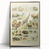Vintage Animal Art: Retro Giraffe & Wildlife Illustration Print