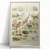 Vintage Animal Art: Retro Giraffe & Wildlife Illustration Print