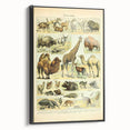 Vintage Animal Art: Retro Giraffe & Wildlife Illustration Print