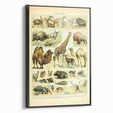 Vintage Animal Art: Retro Giraffe & Wildlife Illustration Print