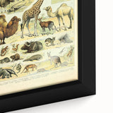 Vintage Animal Art: Retro Giraffe & Wildlife Illustration Print