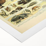 Vintage Animal Art: Retro Giraffe & Wildlife Illustration Print