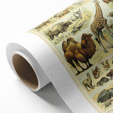 Vintage Animal Art: Retro Giraffe & Wildlife Illustration Print