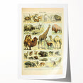 Vintage Animal Art: Retro Giraffe & Wildlife Illustration Print