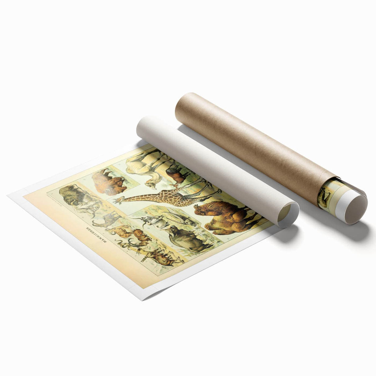 Vintage Animal Art: Retro Giraffe & Wildlife Illustration Print