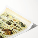 Vintage Animal Art: Retro Giraffe & Wildlife Illustration Print