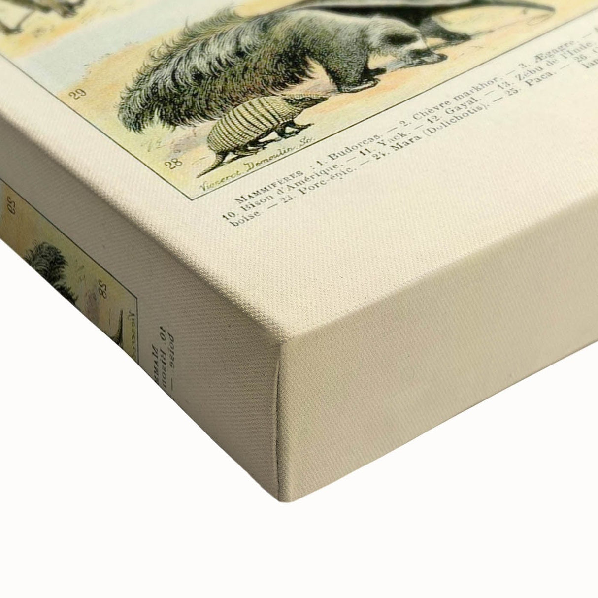 Vintage Animal Art: Retro Giraffe & Wildlife Illustration Print