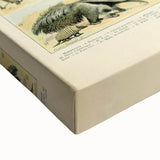 Vintage Animal Art: Retro Giraffe & Wildlife Illustration Print